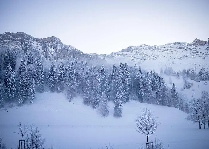 Kempinski Palace מלון